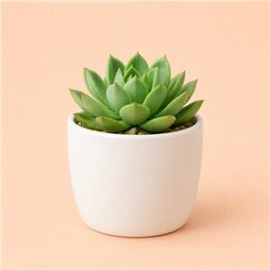TEST — Produkt 04